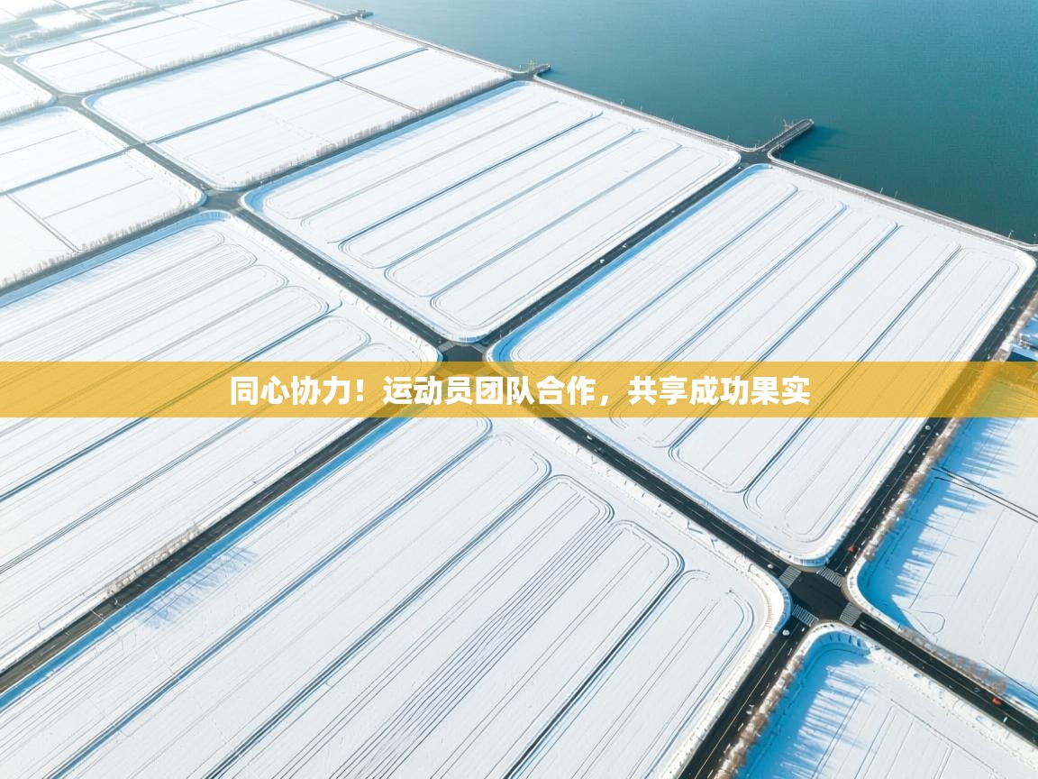 同心协力!运动员团队合作,共享成功果实 第1张