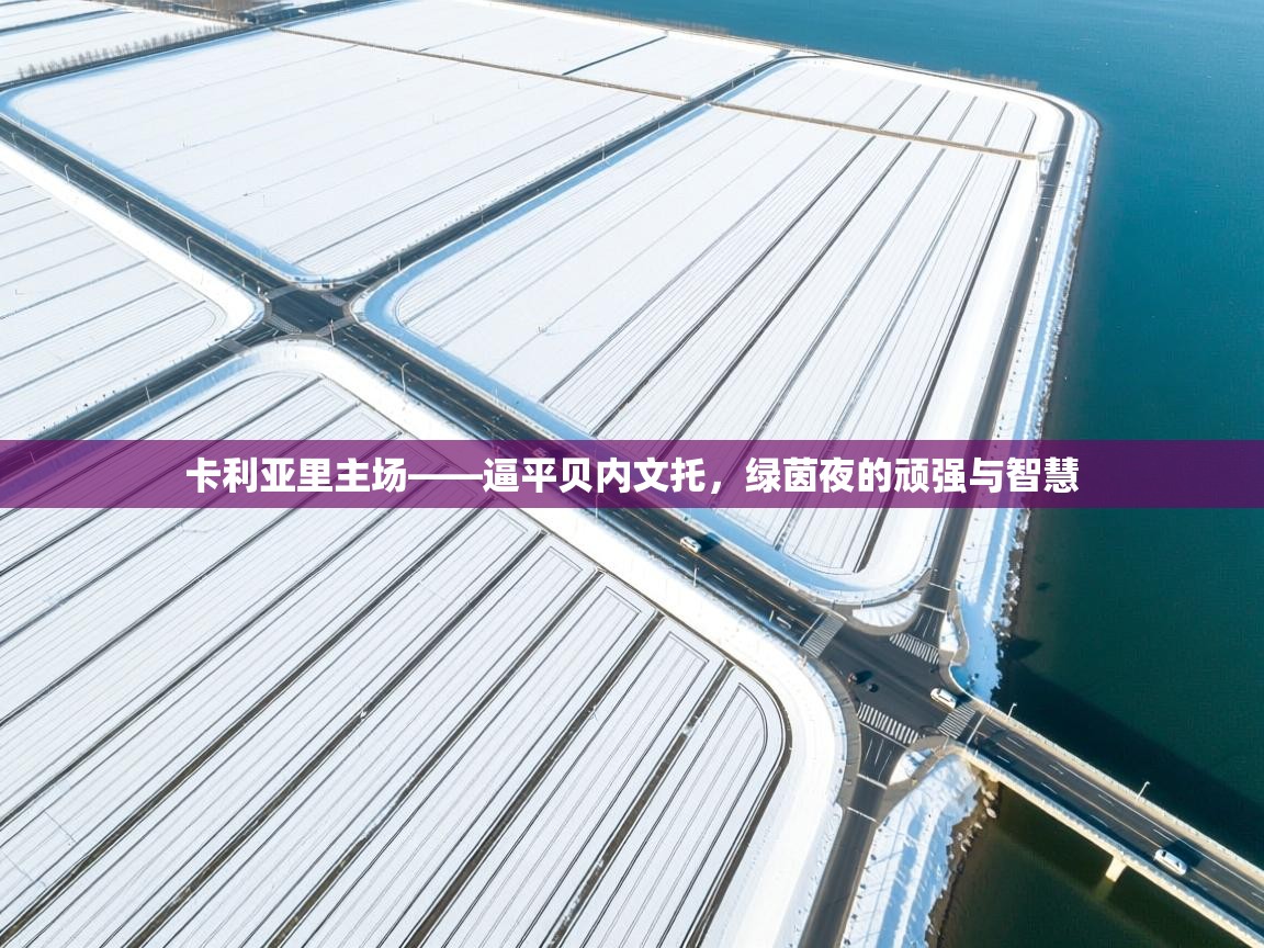 卡利亚里主场——逼平贝内文托,绿茵夜的顽强与智慧 第1张