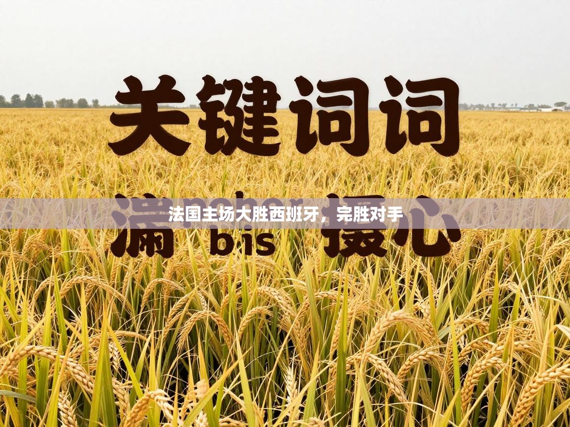 法国主场大胜西班牙,完胜对手 第2张